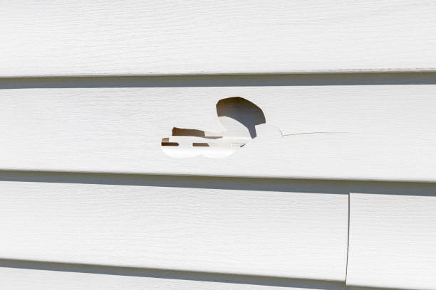 Moving and Downsizing Cleanouts in Caro, MI